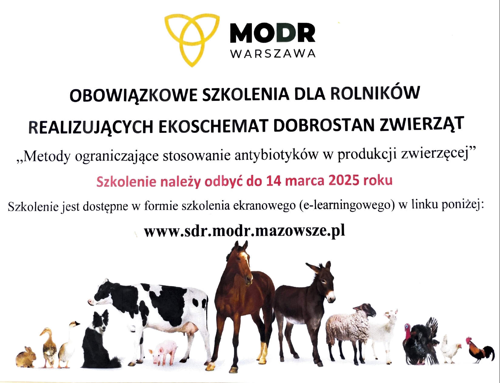 antybiotykooporność_page-0001