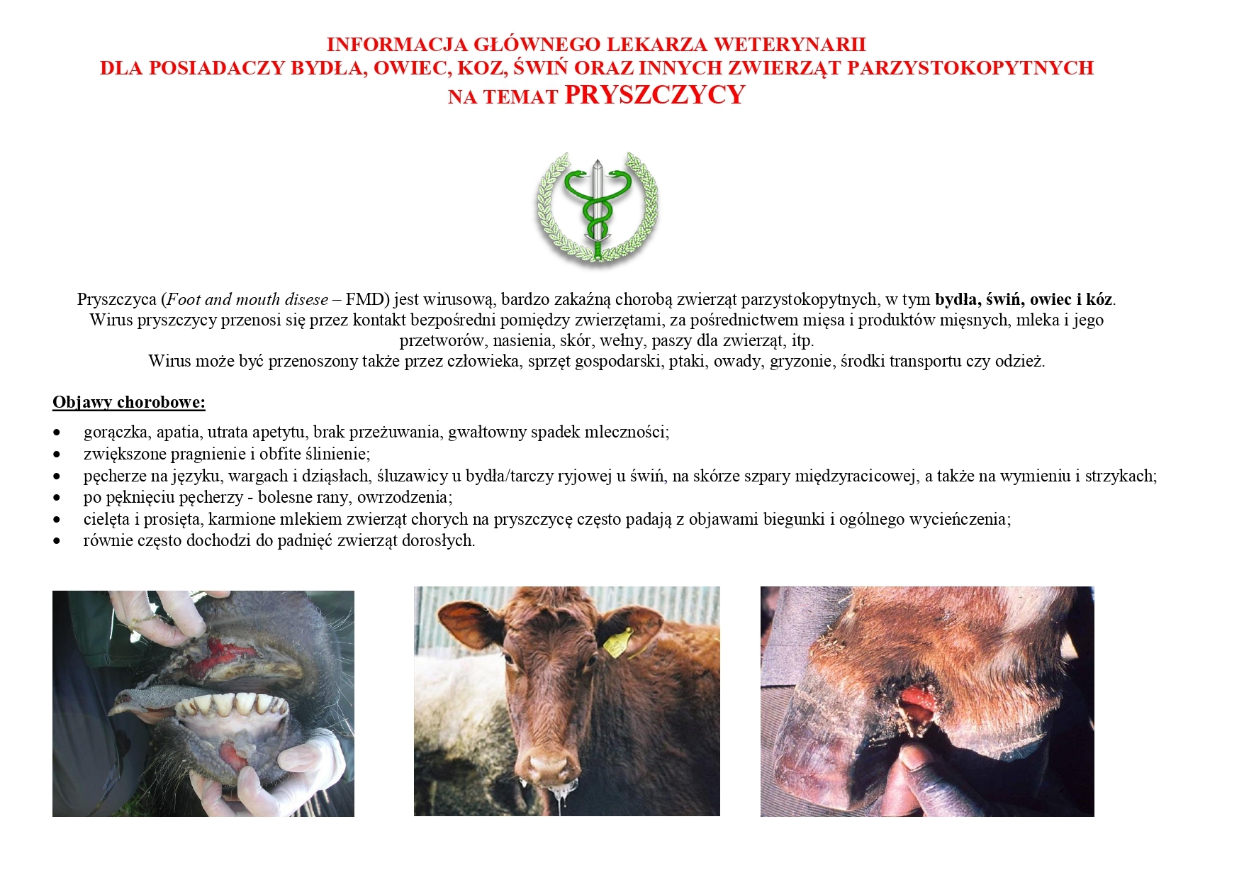 ulotka pryszczyca (FMD)_page-0001