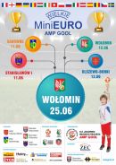 MiniEuro 2016