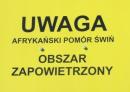 ASF (Afrykański pomór świń)